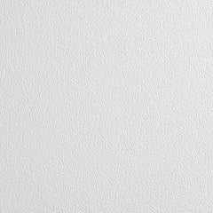 Ceiling Tiles; Color: White; Material: Wet-Formed Mineral Fiber; Length (Inch): 48; Width: 24; Grid Size (Inch): 15/16; Edge Type: Square; Texture: Smooth; Noise Reduction Coefficient Rating: 0