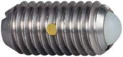 Vlier - M8x1.25, 5mm Ball Diam, 16mm Body Length, 1.5mm Max Ball Reach, Threaded Ball Plunger - Stainless Steel Body, Nylon Ball, 9 Lb Initial End Force, 13.49 Lb Final End Force, Locking Element - Industrial Tool & Supply