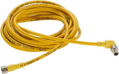 Brad Harrison - 4 Amp, Female 90° to Male 90° Cordset Sensor and Receptacle - 250 VAC/VDC, 4m Cable Length, IP68 Ingress Rating - Industrial Tool & Supply