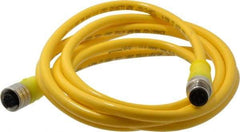 Brad Harrison - Female to Male Cordset Sensor and Receptacle - 250 VAC/VDC, 2m Cable Length, IP68 Ingress Rating - Industrial Tool & Supply