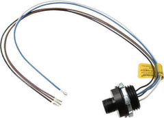 Brad Harrison - 4 Amp, M12 Male Straight Receptacle - 250 VAC/VDC, 0.31m Cable Length, IP67 Ingress Rating - Industrial Tool & Supply