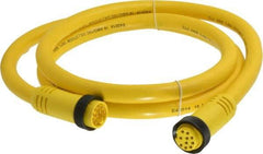 Brad Harrison - 7 Amp, Female Straight, Male Straight Cordset Sensor and Receptacle - 600 Volt, 1.83m Cable Length, IP67 Ingress Rating - Industrial Tool & Supply