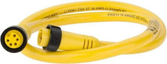 Brad Harrison - 8 Amp, Female Straight, Male Straight Cordset Sensor and Receptacle - 600 Volt, 0.91m Cable Length, IP67 Ingress Rating - Industrial Tool & Supply