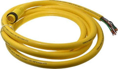 Brad Harrison - 5 Amp, Male Straight to Pigtail Cordset Sensor and Receptacle - 600 Volt, 3.66m Cable Length, IP67 Ingress Rating - Industrial Tool & Supply