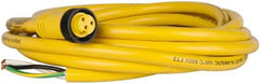 Brad Harrison - 13 Amp, Female Straight to Pigtail Cordset Sensor and Receptacle - 600 Volt, 3.66m Cable Length, IP67 Ingress Rating - Industrial Tool & Supply