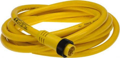 Brad Harrison - 10 Amp, Male Straight to Pigtail Cordset Sensor and Receptacle - 600 Volt, 3.66m Cable Length, IP67 Ingress Rating - Industrial Tool & Supply