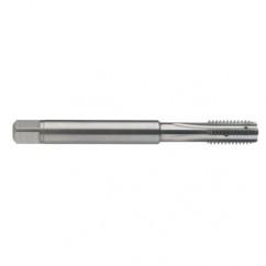 M8 x 1.25 Dia. - 6H - 4 FL - Carbide Semi-Bott Tap - Bright Finish-Coolant-Thru-FORM-C - Industrial Tool & Supply