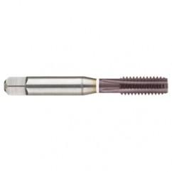 M14 x 2.0 Dia. - 6H - 4 FL - Cobalt Straight Flute Semi-Bott White Ring Tap - Firex - Industrial Tool & Supply