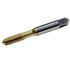 18359 5912 M6X1.0 D8FE BOTT TIN - Industrial Tool & Supply