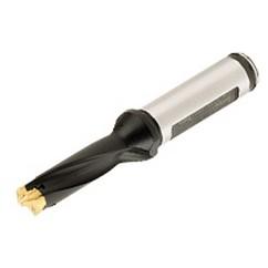 DCM170-051-20A-3D INDEXABLE DRILLS - Industrial Tool & Supply
