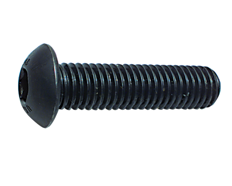 M12X1.75X30MM SOCKET BHCS (100) - Industrial Tool & Supply