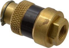 Coilhose Pneumatics - 1/8" Pipe, FNPT x FNPT, Brass Lockout Valve - 150 Max psi, Brass Sleeve - Industrial Tool & Supply