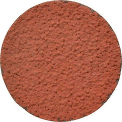3M - 2" Disc Diam, 36 Grit, Ceramic Quick Change Disc - Type R Attaching System, Coated, Orange, Very Coarse Grade, 25,000 RPM, 777F Series - Industrial Tool & Supply
