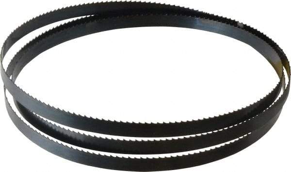 Starrett - 6 TPI, 6' 9" Long x 1/2" Wide x 0.025" Thick, Welded Band Saw Blade - Carbon Steel, Toothed Edge, Raker Tooth Set, Flexible Back, Contour Cutting - Industrial Tool & Supply