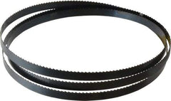 Starrett - 6 TPI, 6' 9" Long x 1/2" Wide x 0.025" Thick, Welded Band Saw Blade - Carbon Steel, Toothed Edge, Raker Tooth Set, Flexible Back, Contour Cutting - Industrial Tool & Supply