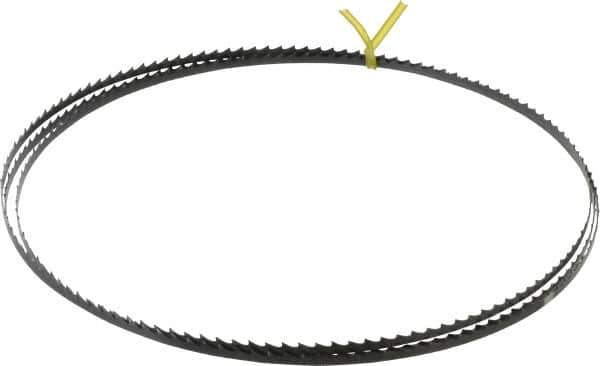 Starrett - 4 TPI, 7' 9-1/2" Long x 1/4" Wide x 0.025" Thick, Welded Band Saw Blade - Carbon Steel, Toothed Edge, Raker Tooth Set, Flexible Back, Contour Cutting - Industrial Tool & Supply