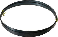 Starrett - 10 TPI, 10' Long x 3/4" Wide x 0.032" Thick, Welded Band Saw Blade - Carbon Steel, Toothed Edge, Raker Tooth Set, Flexible Back, Contour Cutting - Industrial Tool & Supply