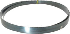 Starrett - 6 TPI, 10' Long x 3/4" Wide x 0.032" Thick, Welded Band Saw Blade - Carbon Steel, Toothed Edge, Raker Tooth Set, Flexible Back, Contour Cutting - Industrial Tool & Supply