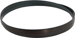 Starrett - 8 TPI, 10' Long x 3/4" Wide x 0.032" Thick, Welded Band Saw Blade - Carbon Steel, Toothed Edge, Raker Tooth Set, Flexible Back, Contour Cutting - Industrial Tool & Supply