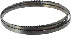 Starrett - 4 TPI, 11' 9" Long x 1/2" Wide x 0.025" Thick, Welded Band Saw Blade - Carbon Steel, Toothed Edge, Raker Tooth Set, Flexible Back, Contour Cutting - Industrial Tool & Supply
