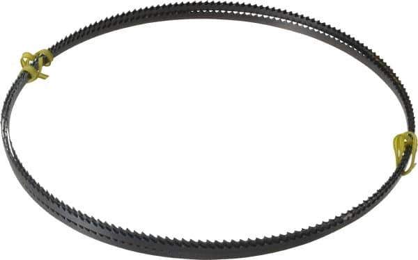 Starrett - 6/S TPI, 12' 6" Long x 1/4" Wide x 0.025" Thick, Welded Band Saw Blade - Carbon Steel, Toothed Edge, Raker Tooth Set, Flexible Back, Contour Cutting - Industrial Tool & Supply