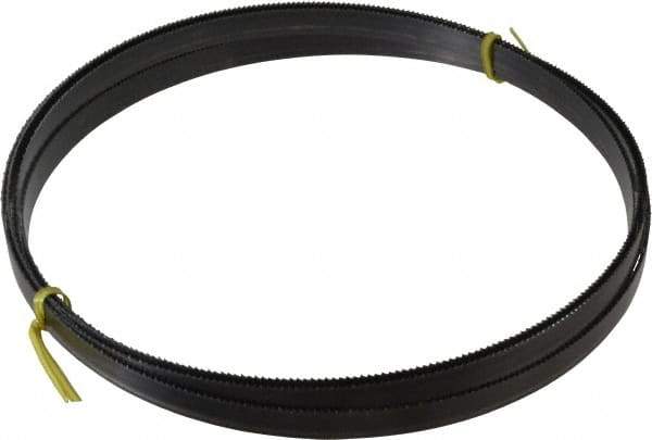Starrett - 10/S TPI, 19' 6" Long x 5/8" Wide x 0.032" Thick, Welded Band Saw Blade - Carbon Steel, Toothed Edge, Raker Tooth Set, Flexible Back, Contour Cutting - Industrial Tool & Supply