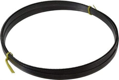 Starrett - 10/S TPI, 19' 6" Long x 5/8" Wide x 0.032" Thick, Welded Band Saw Blade - Carbon Steel, Toothed Edge, Raker Tooth Set, Flexible Back, Contour Cutting - Industrial Tool & Supply