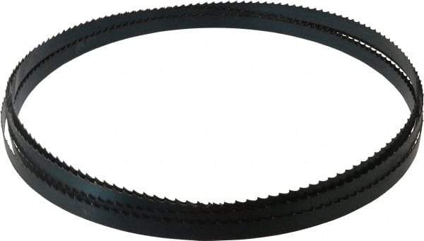 Starrett - 3 TPI, 19' 8" Long x 3/4" Wide x 0.032" Thick, Welded Band Saw Blade - Carbon Steel, Toothed Edge, Raker Tooth Set, Flexible Back, Contour Cutting - Industrial Tool & Supply