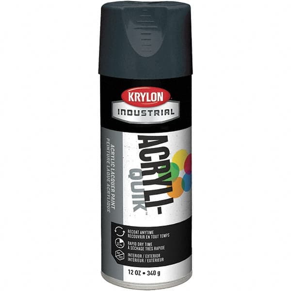 Krylon - Shadow Gray, Lacquer Spray Paint - Exact Industrial Supply