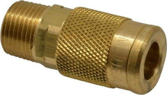 Coilhose Pneumatics - 3/8 Male NPT Acme Pneumatic Hose Coupler - Brass, 1/4" Body Diam - Industrial Tool & Supply