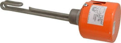 Value Collection - 1 Element, 9.06" Immersion Length, Standard Housing, Stainless Steel Pipe Plug Immersion Heater - 1 Phase, 240 Volt, 1,500 Watt, 68 Watts/Sq In, Stainless Steel Plug - Industrial Tool & Supply