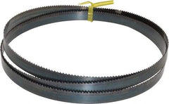 Starrett - 10 TPI, 5' Long x 1/2" Wide x 0.025" Thick, Welded Band Saw Blade - Carbon Steel, Toothed Edge, Raker Tooth Set, Flexible Back, Contour Cutting - Industrial Tool & Supply