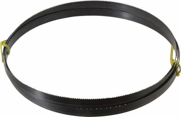 Starrett - 10 TPI, 8' 2-1/2" Long x 5/8" Wide x 0.032" Thick, Welded Band Saw Blade - Carbon Steel, Toothed Edge, Raker Tooth Set, Flexible Back, Contour Cutting - Industrial Tool & Supply
