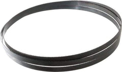 Starrett - 10 TPI, 7' 11" Long x 1/2" Wide x 0.025" Thick, Welded Band Saw Blade - Carbon Steel, Toothed Edge, Raker Tooth Set, Flexible Back, Contour Cutting - Industrial Tool & Supply