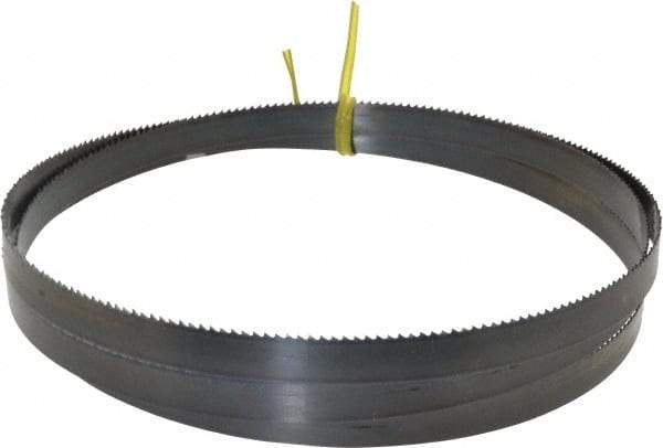 Starrett - 10 TPI, 5' 5" Long x 1/2" Wide x 0.025" Thick, Welded Band Saw Blade - Carbon Steel, Toothed Edge, Raker Tooth Set, Flexible Back, Contour Cutting - Industrial Tool & Supply
