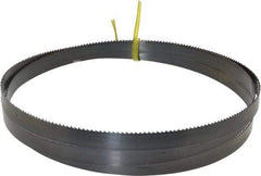 Starrett - 10 TPI, 5' 5" Long x 1/2" Wide x 0.025" Thick, Welded Band Saw Blade - Carbon Steel, Toothed Edge, Raker Tooth Set, Flexible Back, Contour Cutting - Industrial Tool & Supply