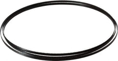 Starrett - 10 TPI, 7' 9" Long x 1/4" Wide x 0.025" Thick, Welded Band Saw Blade - Carbon Steel, Toothed Edge, Raker Tooth Set, Flexible Back, Contour Cutting - Industrial Tool & Supply