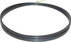 Starrett - 14 TPI, 14' 7" Long x 1/2" Wide x 0.025" Thick, Welded Band Saw Blade - Carbon Steel, Toothed Edge, Raker Tooth Set, Flexible Back, Contour Cutting - Industrial Tool & Supply