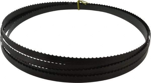 Starrett - 3 TPI, 19' 6" Long x 3/4" Wide x 0.032" Thick, Welded Band Saw Blade - Carbon Steel, Toothed Edge, Raker Tooth Set, Flexible Back, Contour Cutting - Industrial Tool & Supply