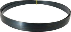 Starrett - 14 TPI, 9' 7" Long x 3/4" Wide x 0.032" Thick, Welded Band Saw Blade - Carbon Steel, Toothed Edge, Raker Tooth Set, Flexible Back, Contour Cutting - Industrial Tool & Supply