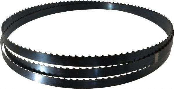 Starrett - 2 TPI, 13' 2" Long x 1" Wide x 0.035" Thick, Welded Band Saw Blade - Carbon Steel, Toothed Edge, Raker Tooth Set, Flexible Back, Contour Cutting - Industrial Tool & Supply