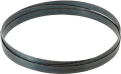 Starrett - 10 TPI, 8' 2" Long x 3/4" Wide x 0.032" Thick, Welded Band Saw Blade - Carbon Steel, Toothed Edge, Raker Tooth Set, Flexible Back, Contour Cutting - Industrial Tool & Supply
