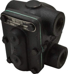 Watts - 4 Port, 3/4" Pipe, Cast Iron Float & Thermostatic Steam Trap - 15 Max psi - Industrial Tool & Supply