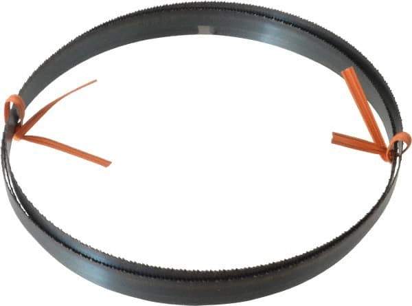 Disston - 14 TPI, 6' 8" Long x 1/2" Wide x 0.025" Thick, Welded Band Saw Blade - Carbon Steel, Toothed Edge, Raker Tooth Set, Flexible Back, Contour Cutting - Industrial Tool & Supply