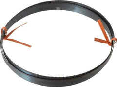 Disston - 14 TPI, 6' 8" Long x 1/2" Wide x 0.025" Thick, Welded Band Saw Blade - Carbon Steel, Toothed Edge, Raker Tooth Set, Flexible Back, Contour Cutting - Industrial Tool & Supply