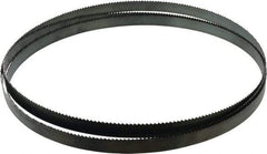 Disston - 6 TPI, 10' 5" Long x 3/4" Wide x 0.032" Thick, Welded Band Saw Blade - Carbon Steel, Toothed Edge, Raker Tooth Set, Flexible Back, Contour Cutting - Industrial Tool & Supply