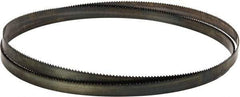 Disston - 6 TPI, 10' 10-1/2" Long x 3/4" Wide x 0.032" Thick, Welded Band Saw Blade - Carbon Steel, Toothed Edge, Raker Tooth Set, Flexible Back, Contour Cutting - Industrial Tool & Supply