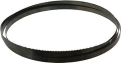 Disston - 6 TPI, 11' 6" Long x 3/4" Wide x 0.032" Thick, Welded Band Saw Blade - Carbon Steel, Toothed Edge, Raker Tooth Set, Flexible Back, Contour Cutting - Industrial Tool & Supply