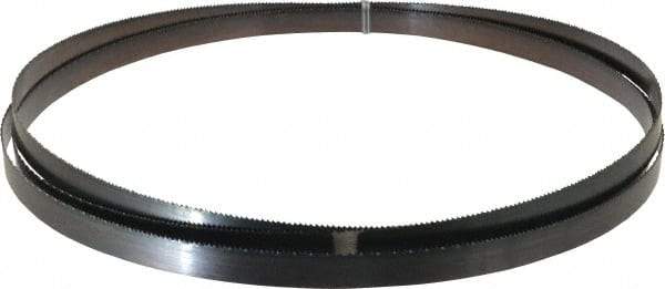Disston - 10 TPI, 11' 6" Long x 3/4" Wide x 0.032" Thick, Welded Band Saw Blade - Carbon Steel, Toothed Edge, Raker Tooth Set, Flexible Back, Contour Cutting - Industrial Tool & Supply