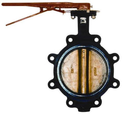 Legend Valve - 8" Pipe, Lug Butterfly Valve - Gear Handle, Cast Iron Body, EPDM Seat, 200 WOG, Aluminum Bronze Disc, Stainless Steel Stem - Industrial Tool & Supply